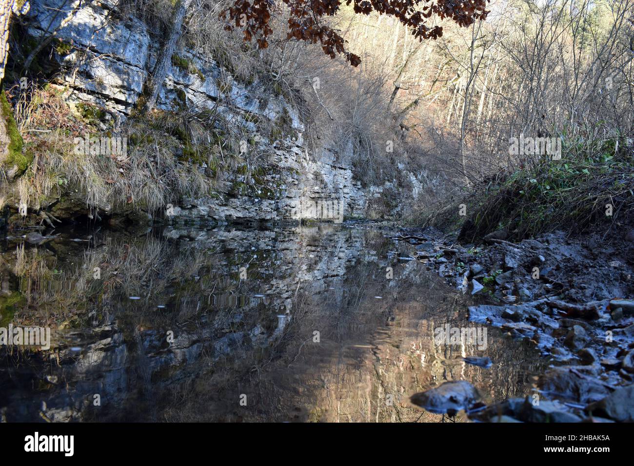 Forest stream near Rottenburg. Stock Photo