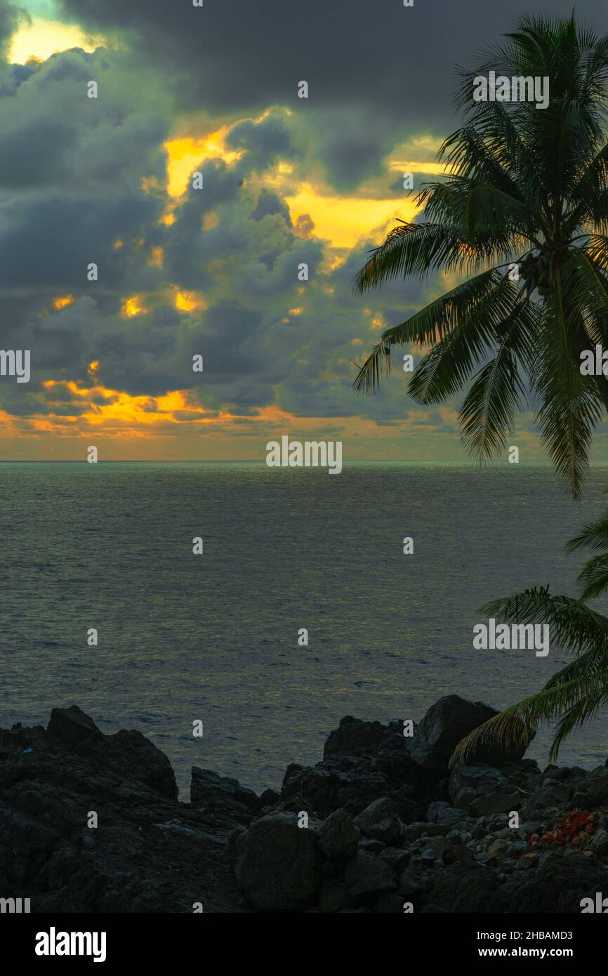 Scenic sunset view with palm trees on the tropical beach Stock Photo ...