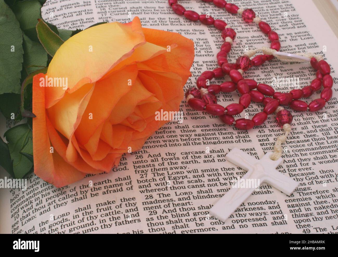 Orange Rose With Rosary on open Bible Stock Photo - Alamy