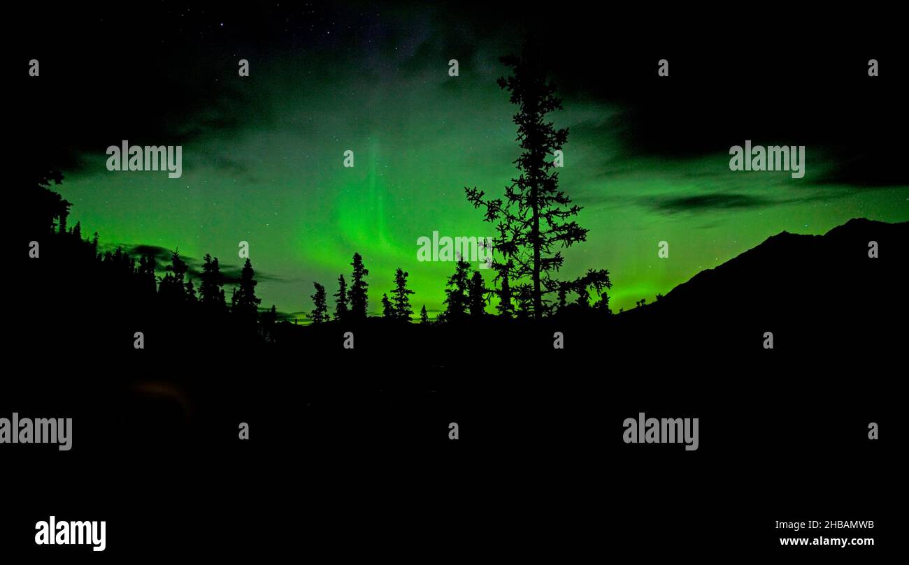 aurora borealis, Denali National Park & Preserve, Alaska, United States of America  A unique, optimised version of an image by NPS Ranger JW Frank; Credit: NPS/Jacob W. Frank Stock Photo