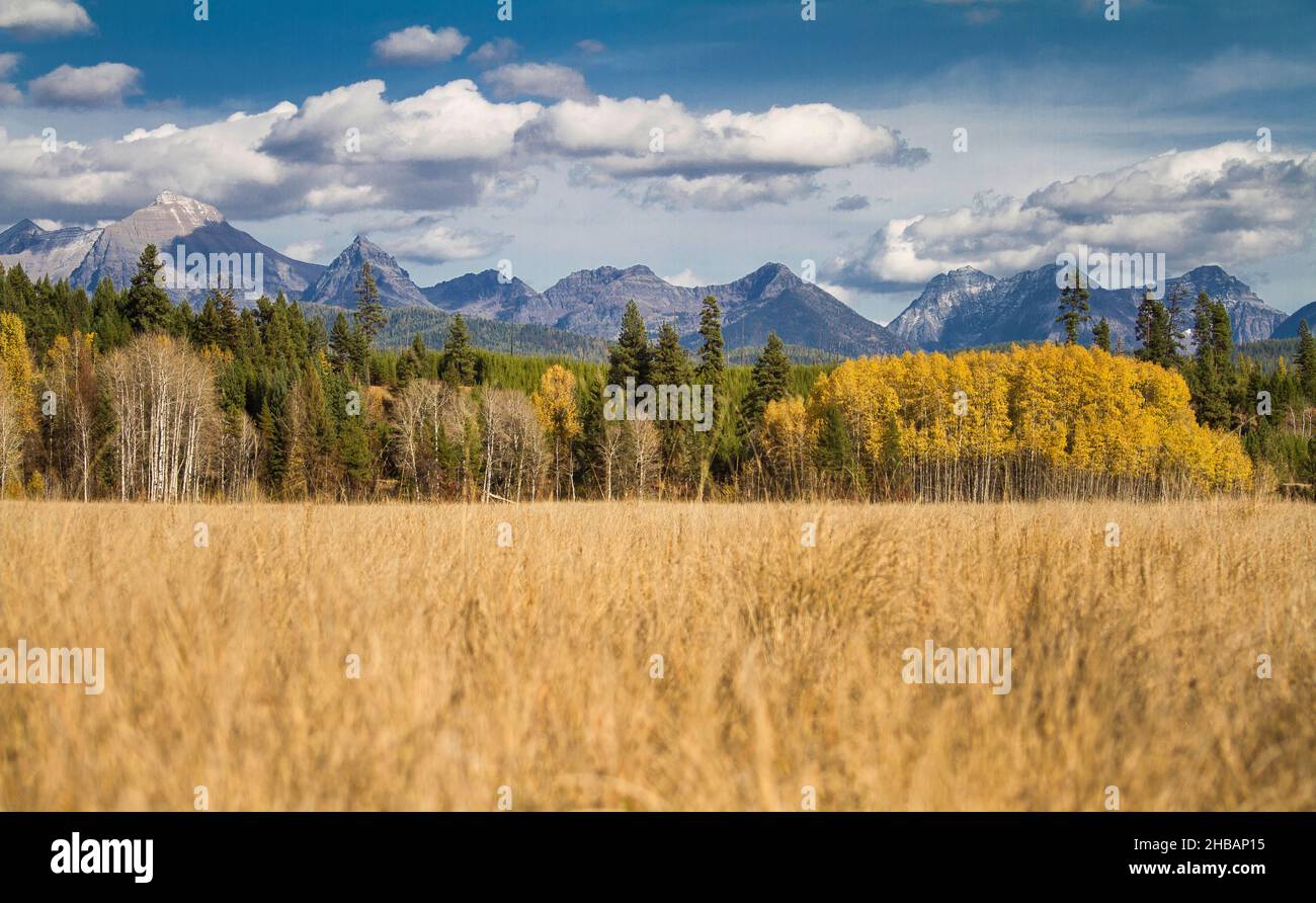 Big Prairie in Glacier National Park, Montana, United States of America.   A unique, optimised version of an NPS image, Credit: NPS/D. Restivo Stock Photo