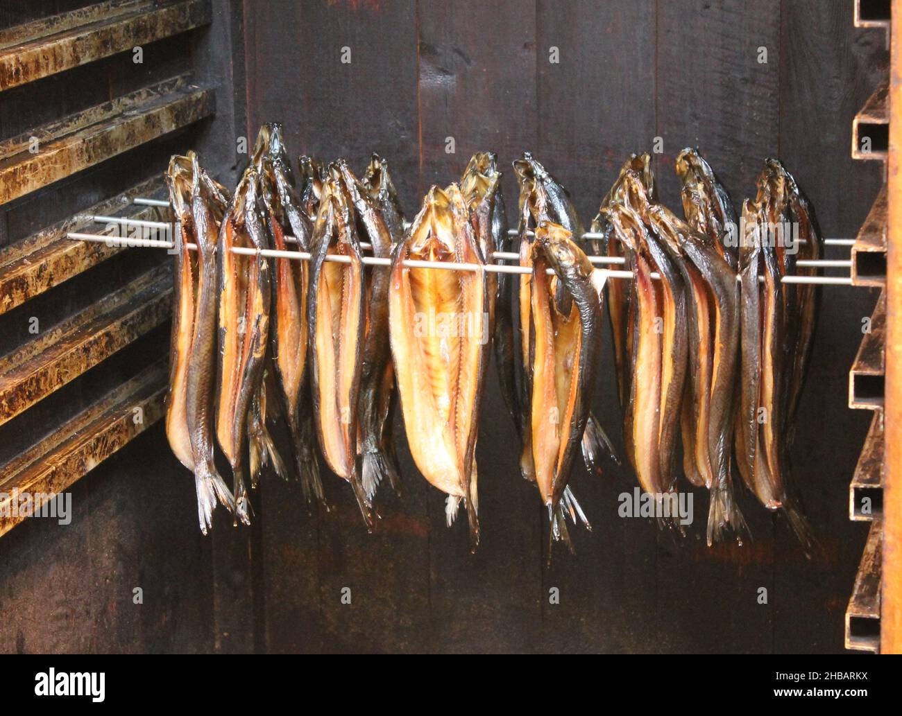 Preserving fish hi-res stock photography and images - Page 8 - Alamy