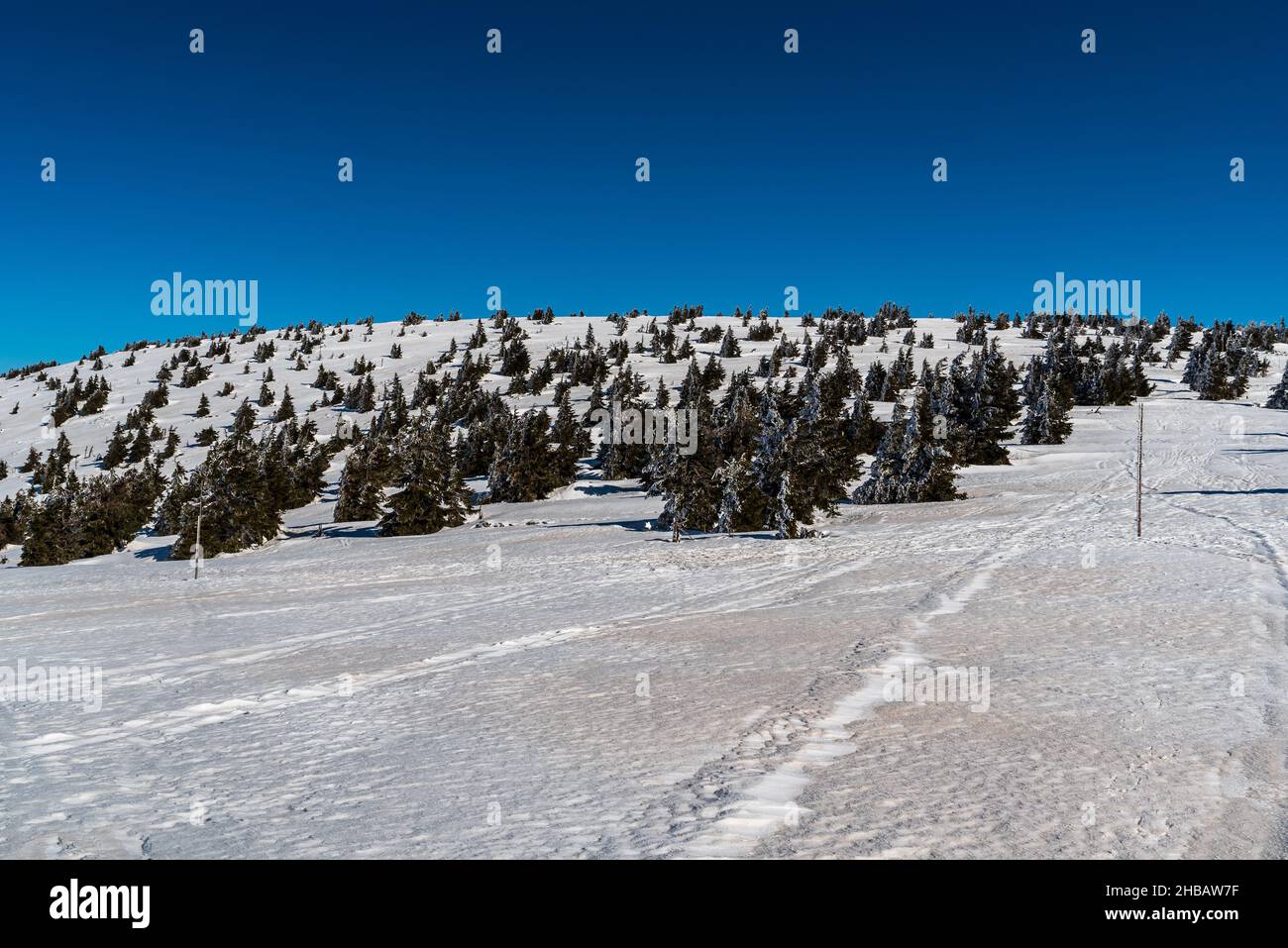 Velky Maj hill in NPR Praded protected area in winter Jeseniky mountains in Czech republic Stock Photo
