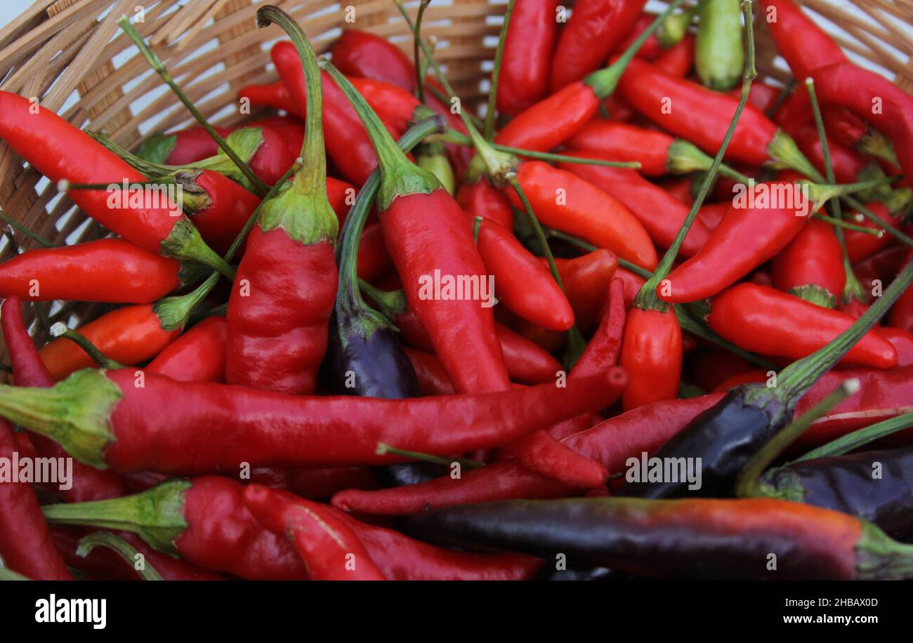 Colorful Basket of Peppers at a Farmers Market Stock Photo - Alamy