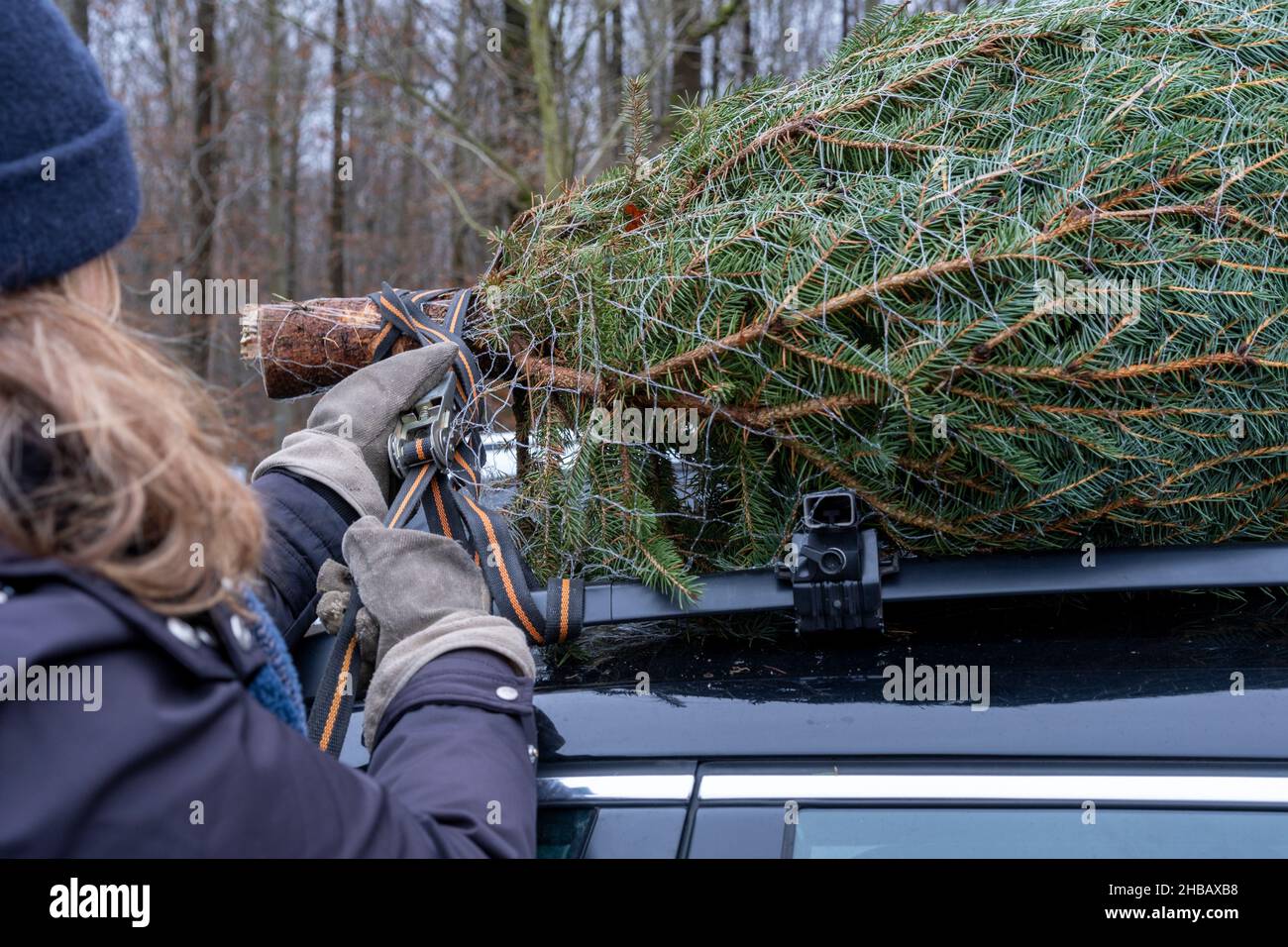 Christmas tree on roof of the car Stock Photo Alamy