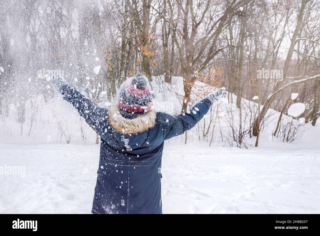 A rear view of a boy in a winter day at the tree background Stock Photo ...