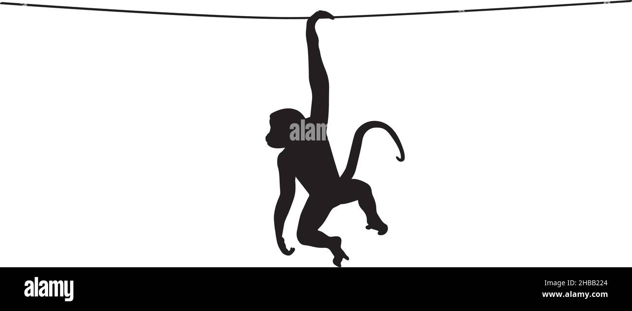 Monkey hanging illustration isolated on white background. Minimalist