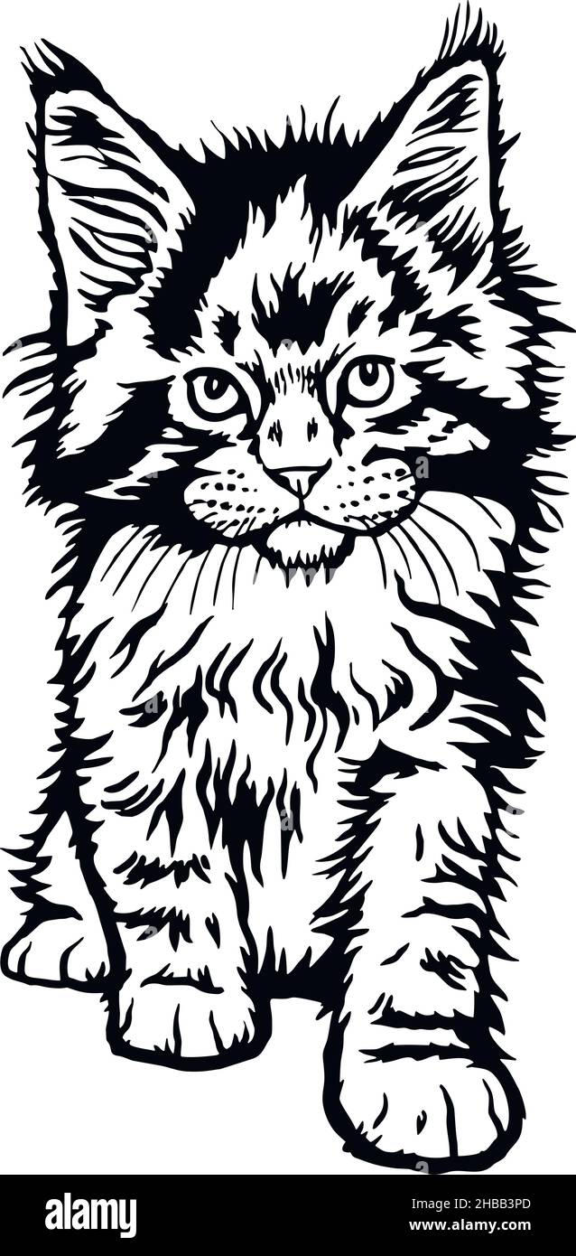 Cat Peeking Kitten Cheerful Kitty Isolated On White Vector Stock cat-peeking-kitten-cheerful-kitty-isolated-on-white-vector-stock