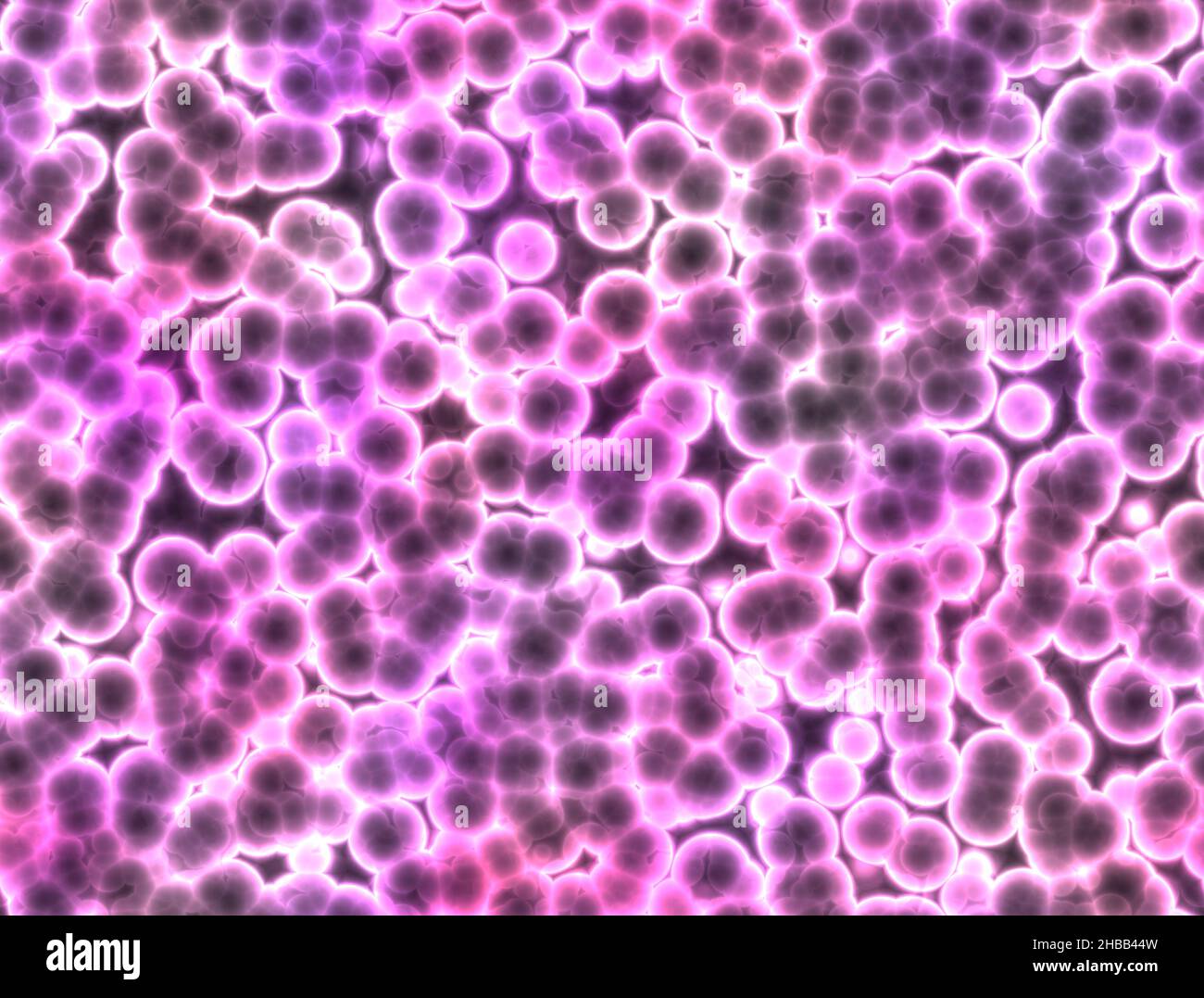 Cells, micro organisms, life formation. Cell duplication. Formation of batteries and microorganisms seen under a microscope. Bacteria texture Stock Photo
