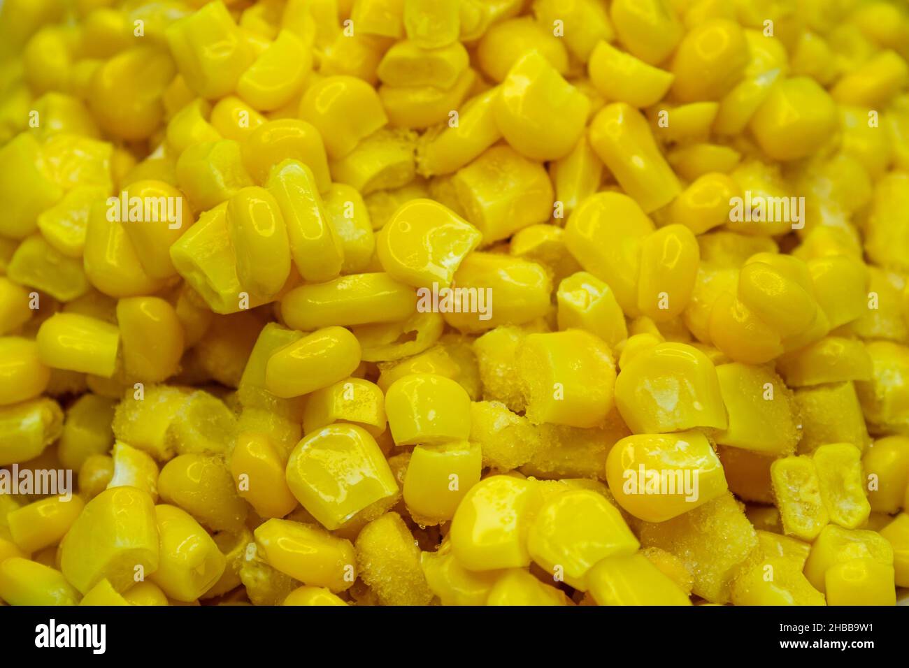 Boiled corn, closeup photo of boiled yellow corn kernels. Full frame