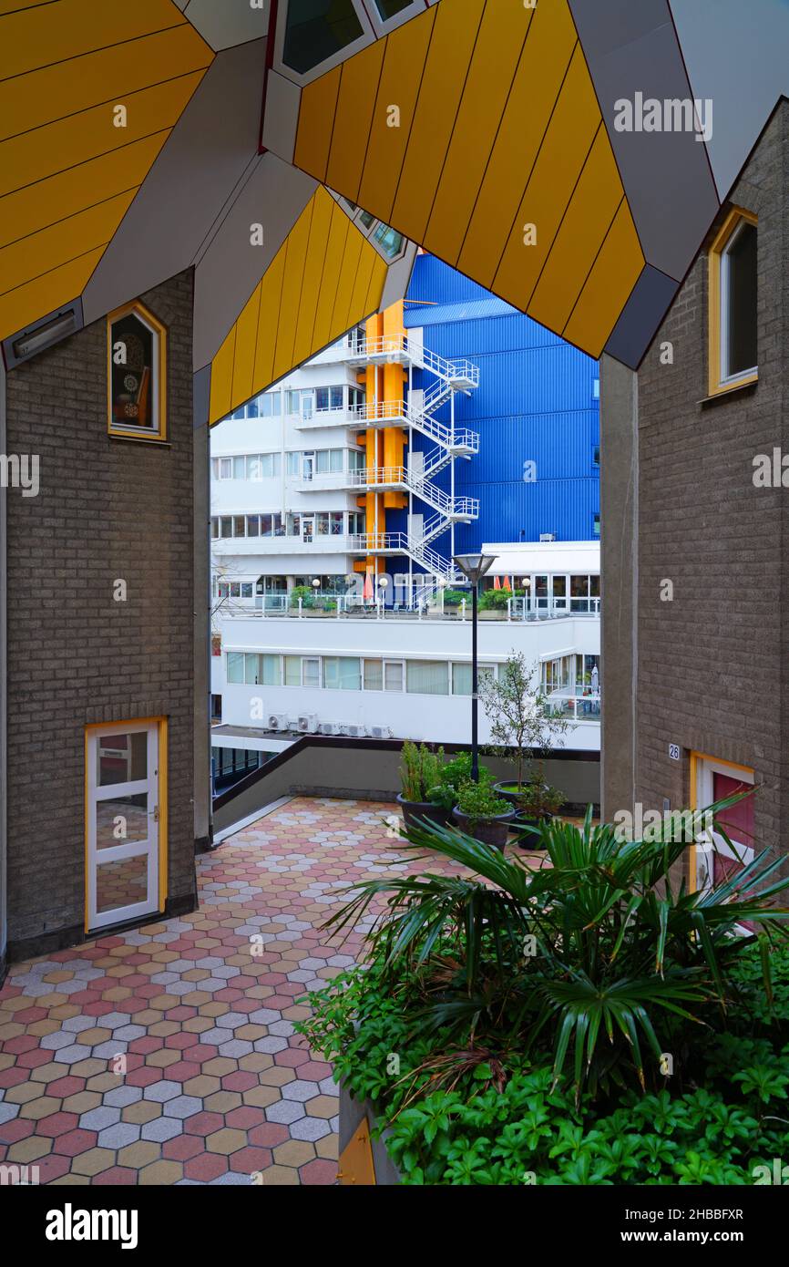 ROTTERDAM, NETHERLANDS 10 NOV 2021 View of the yellow Cube Houses