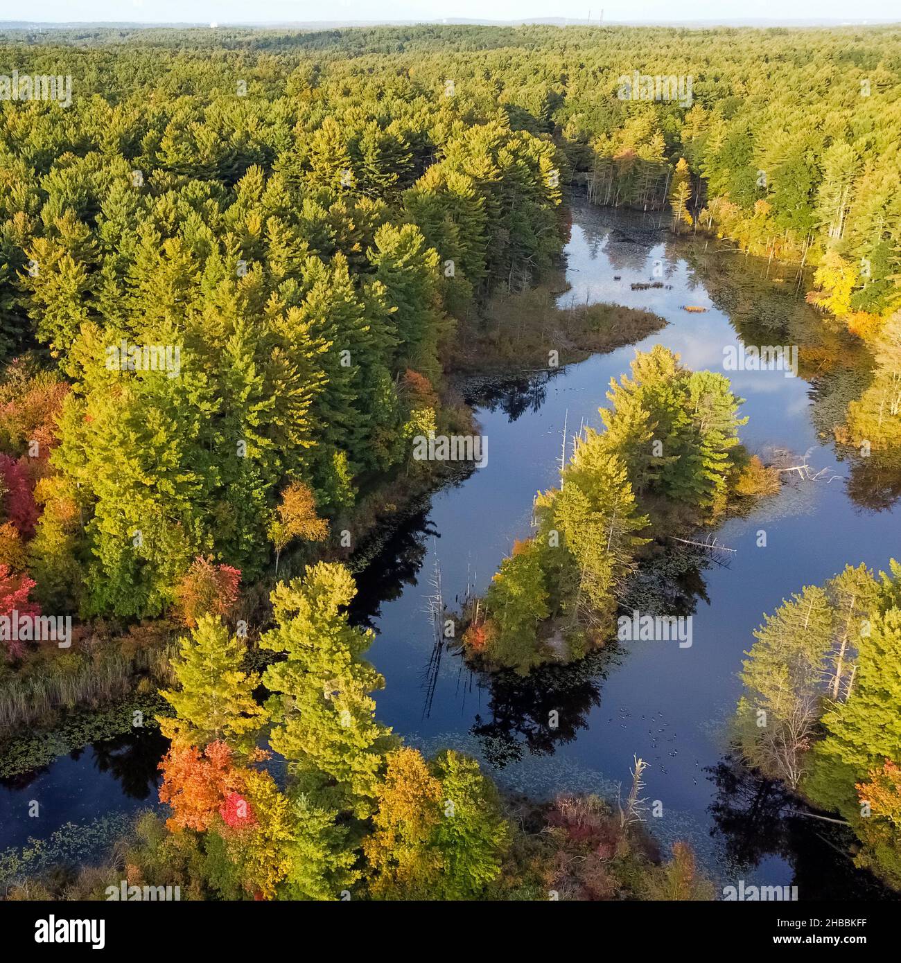 Fall season forest hi-res stock photography and images - Alamy