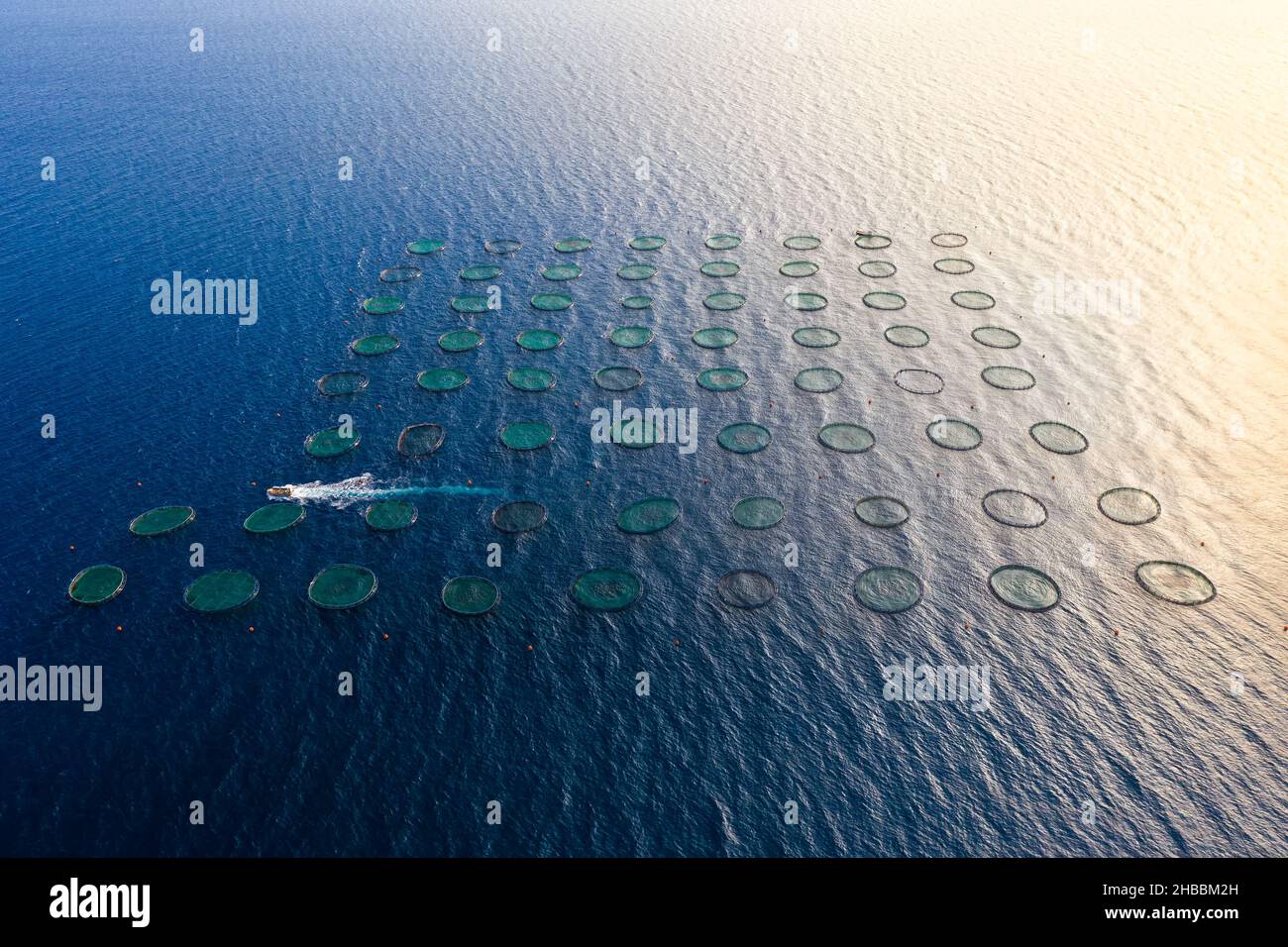 Aerial view of many circular fish farm pools in the beautiful Mediterranean  sea, Greece stock photo