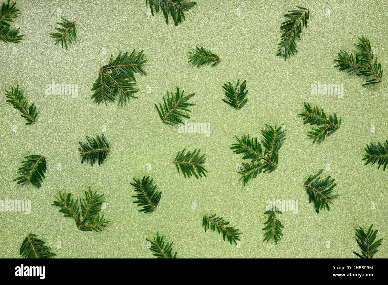 Christmas pattern, winter background. Pine twigs on green, glitter background. Stock Photo