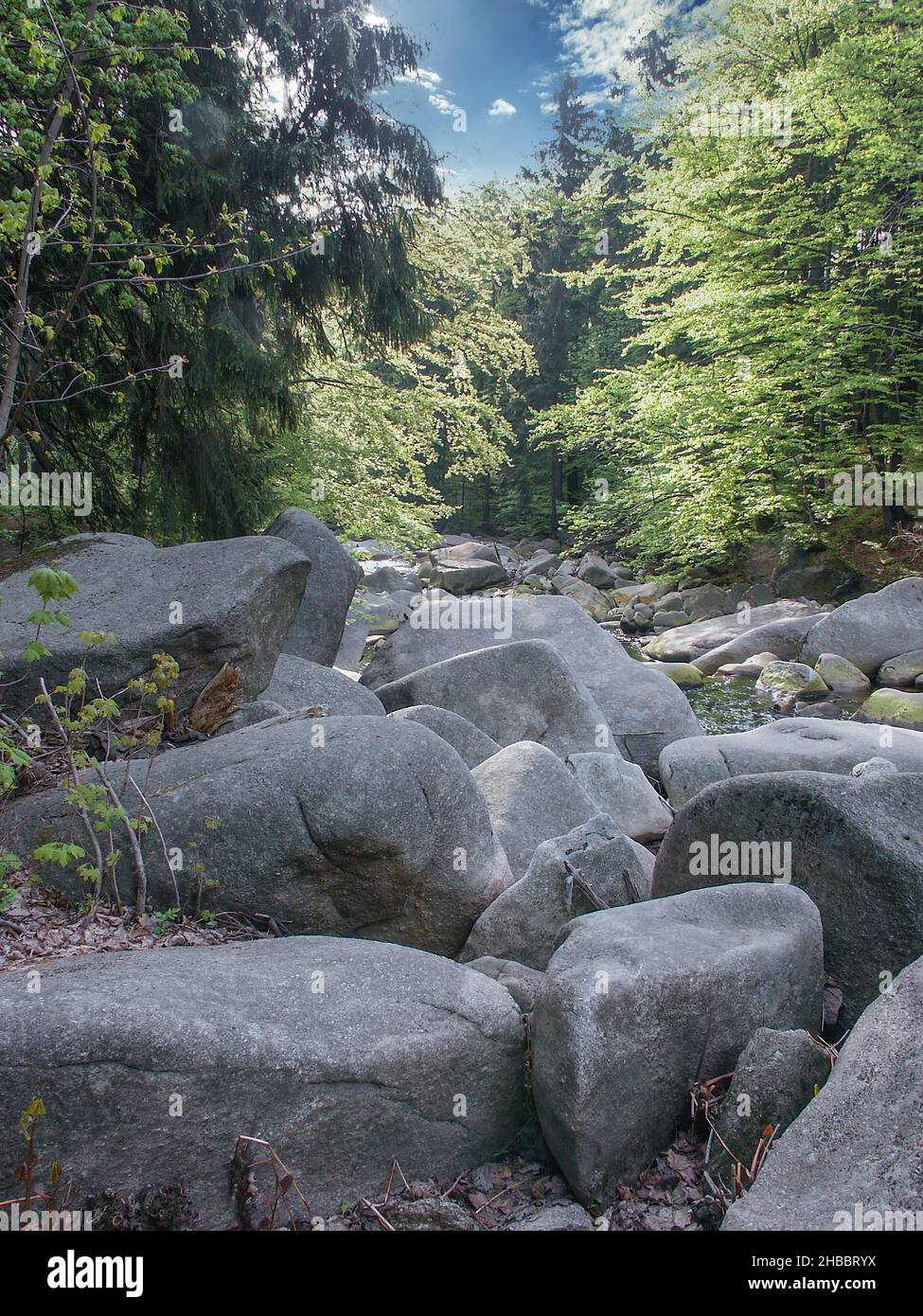 Old Forest Rocks Karkonosze Mountains, wild nature, old forests and streams, water rocks ...