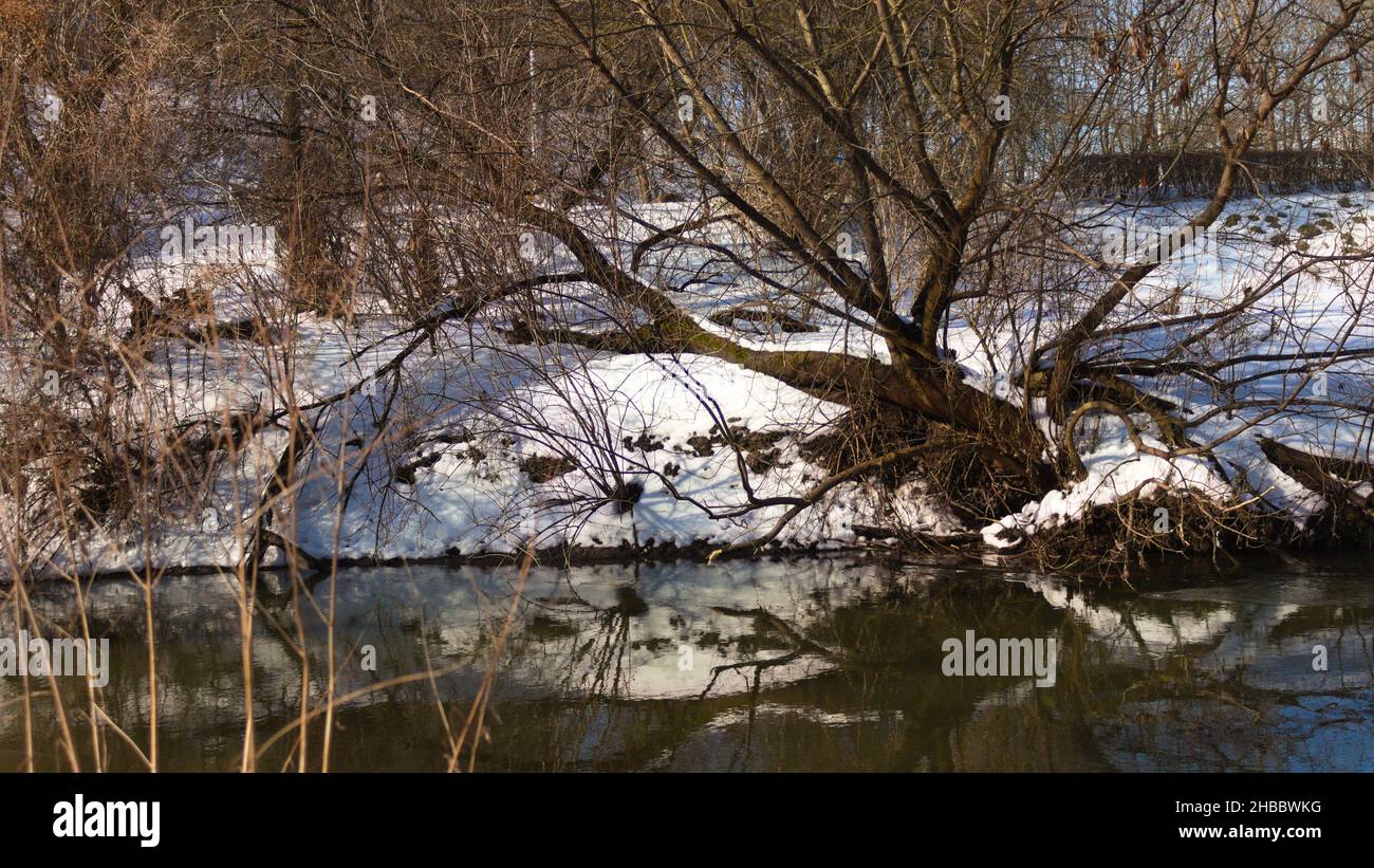 Snowy winter forest river hi-res stock photography and images - Alamy