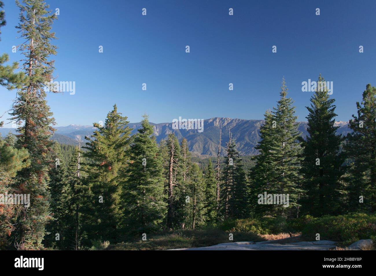 View of the Sierra Nevada mountain rangelooking towards Kings Canyon California USA Stock Photo