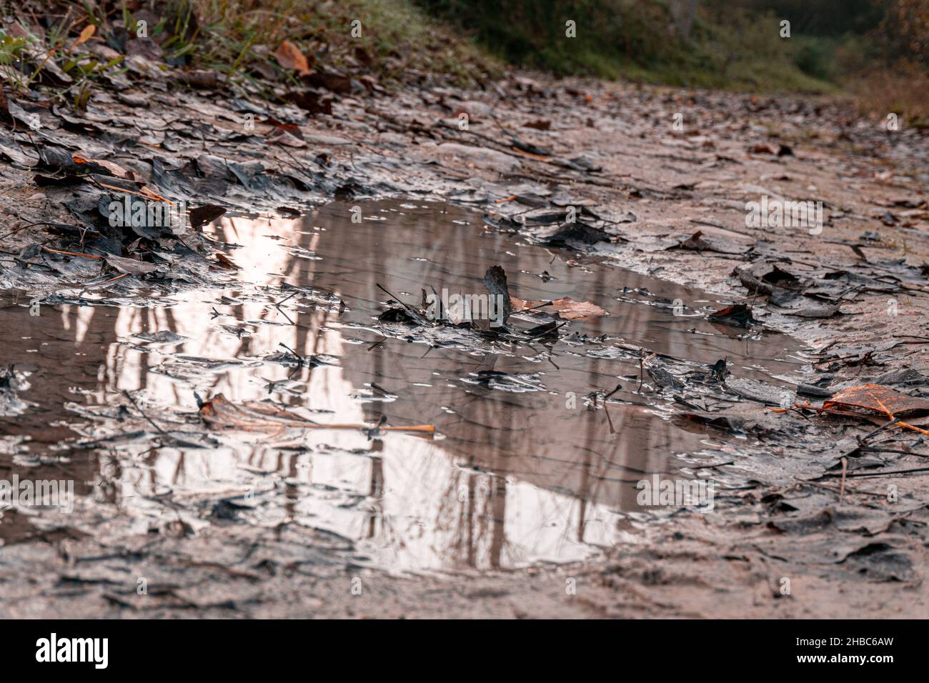 Puddle filled path hi-res stock photography and images - Alamy