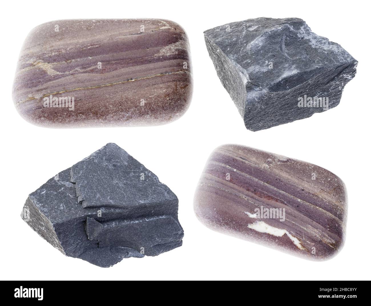 set of various argillite stones (mudstone) cutout on white background Stock Photo