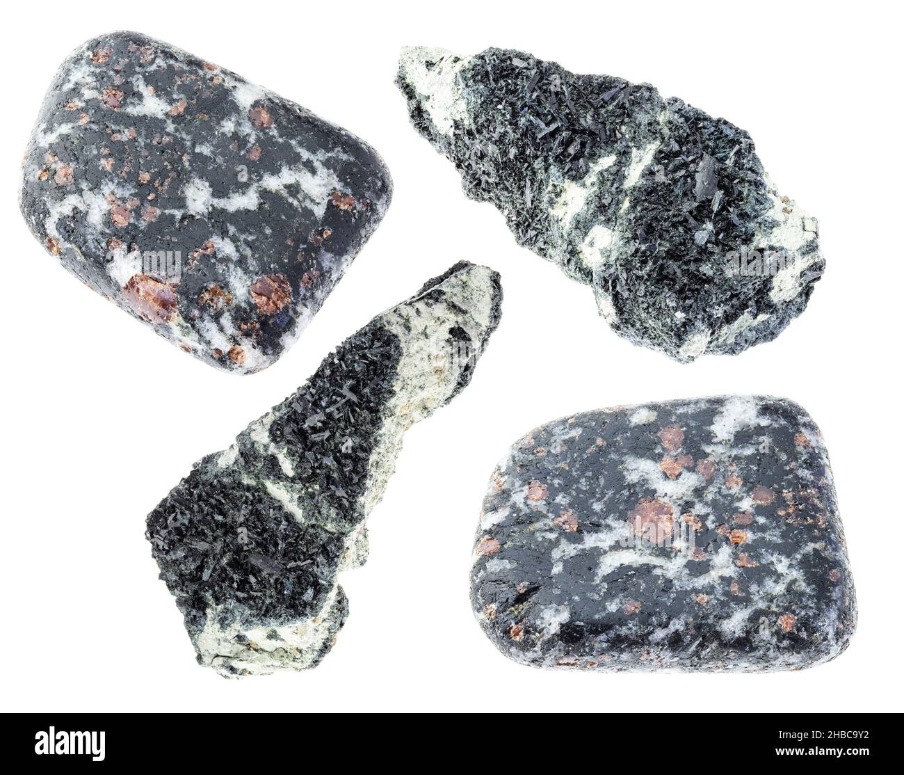 set of various Hornblende stones cutout on white background Stock Photo