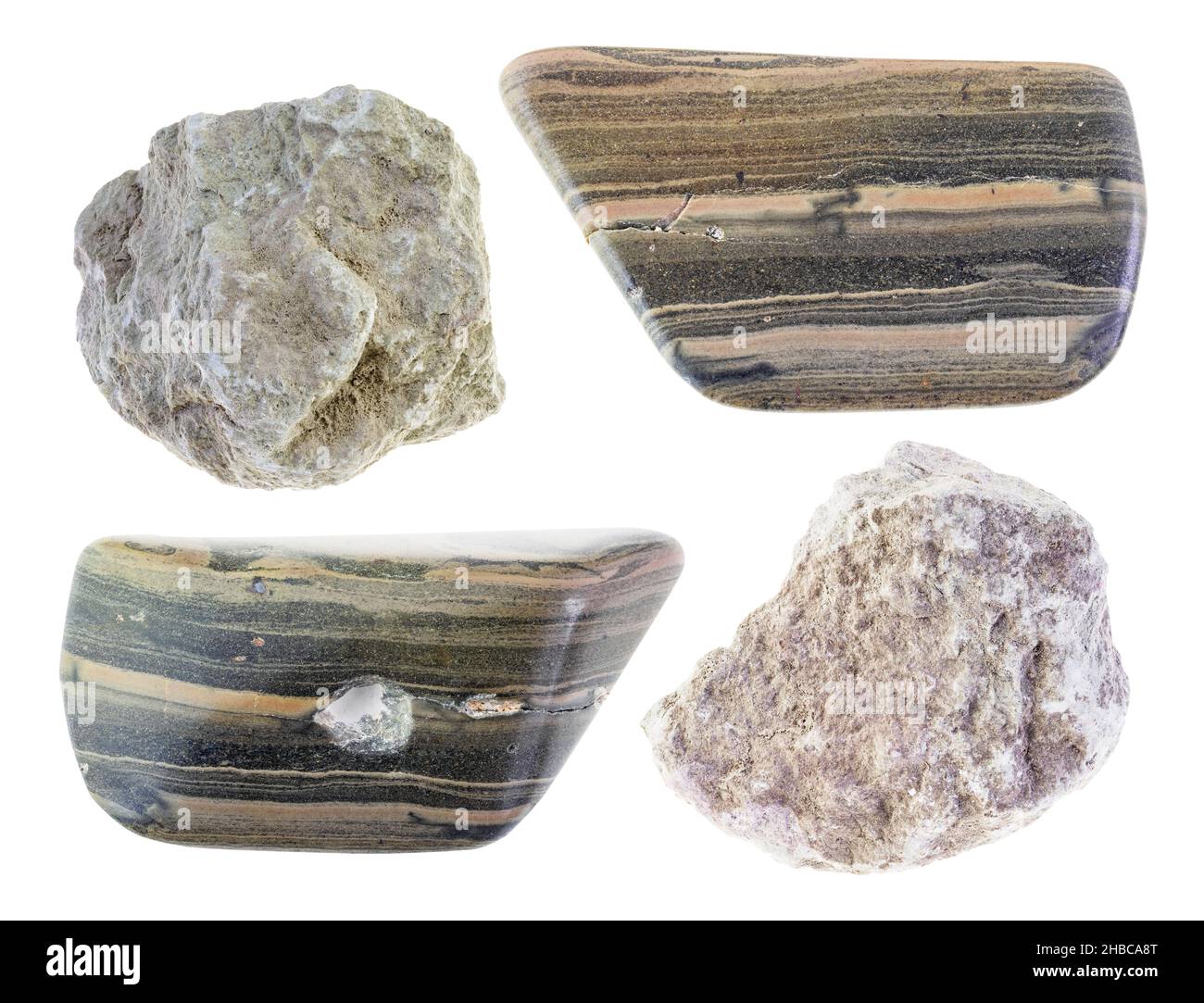 set of various marl shale (marlstone) stone cutout on white background Stock Photo