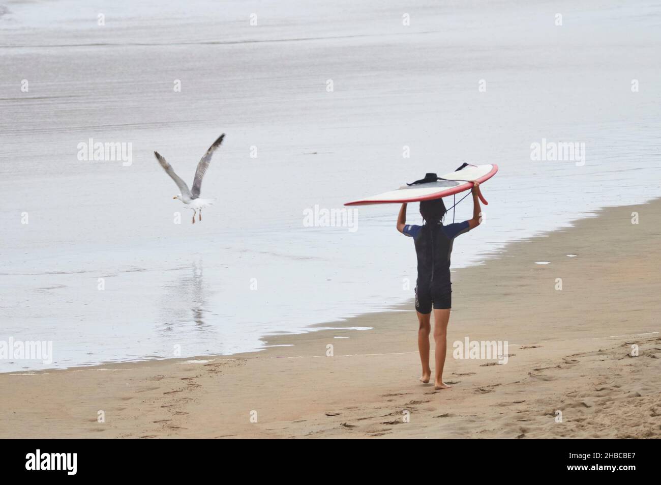 Child surfer with a longboard on his head at the seashore at the XIII Salinas International Longboard Festival 2014 (Asturias, Cantabrian sea, Spain) Stock Photo