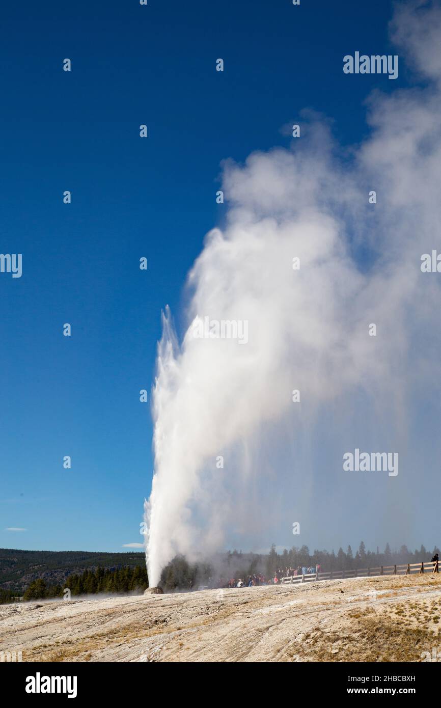 Cone Geyser eruption in the Yellowstone national park, USA Stock Photo