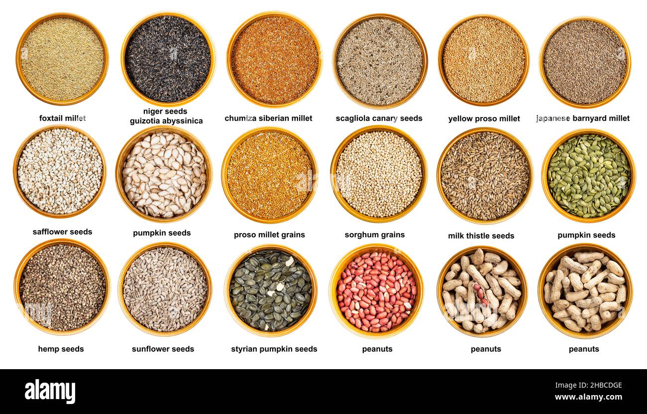 set of various grains, seeds and nuts in bowls with names cutout on white background Stock Photo