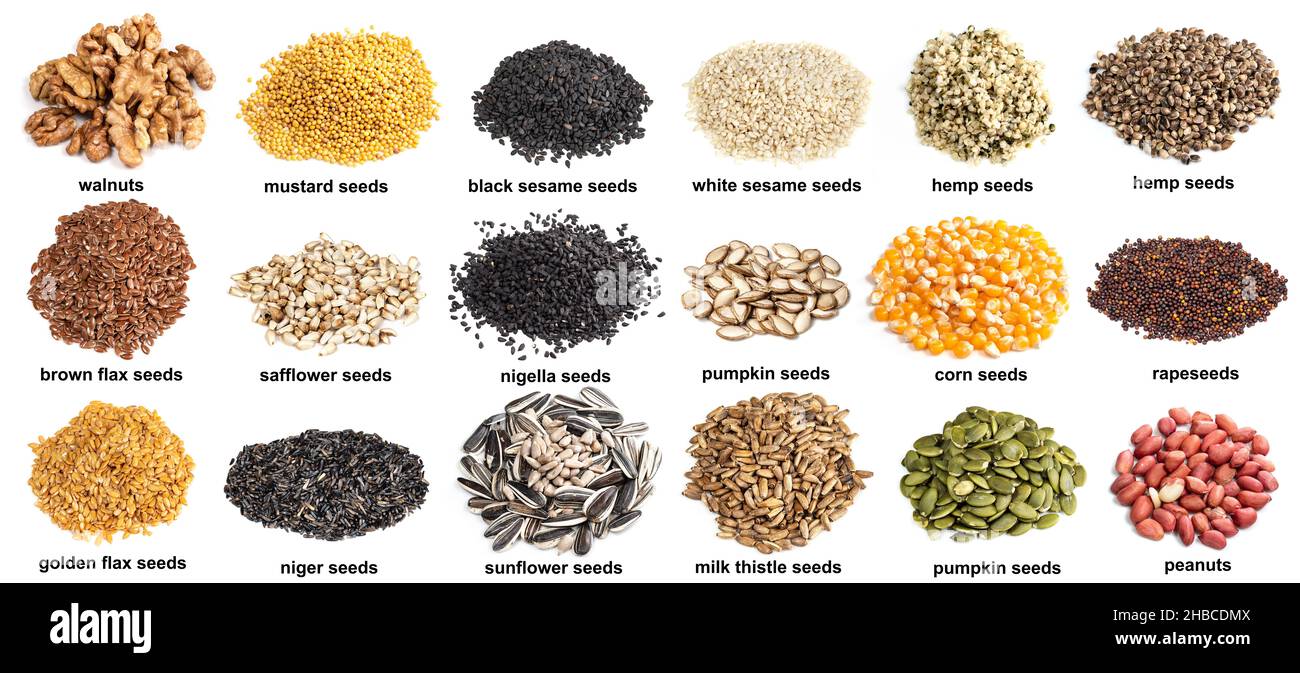 Oilseeds hires stock photography and images Alamy