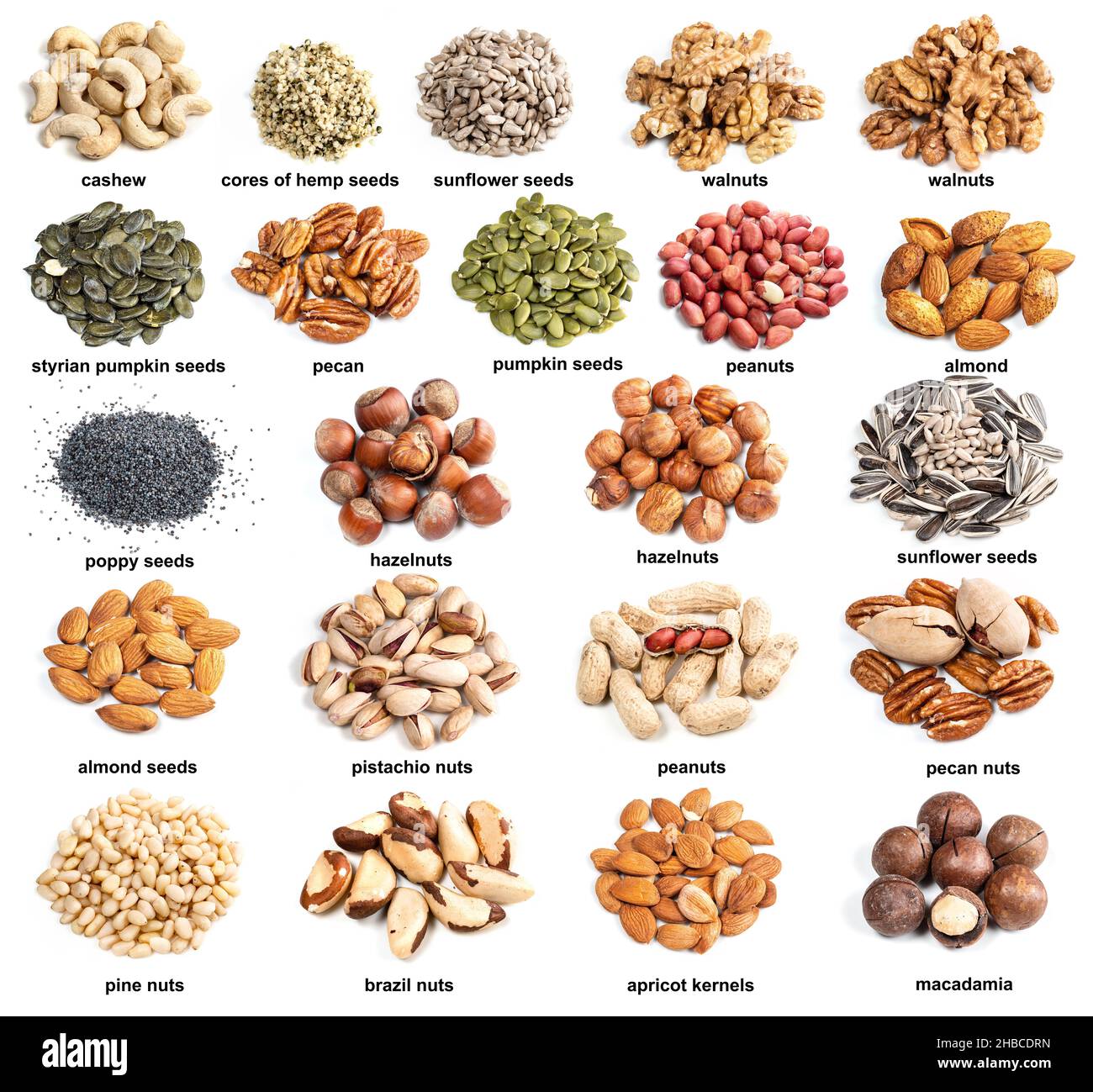 set of piles of variuos edible nuts with names cutout on white