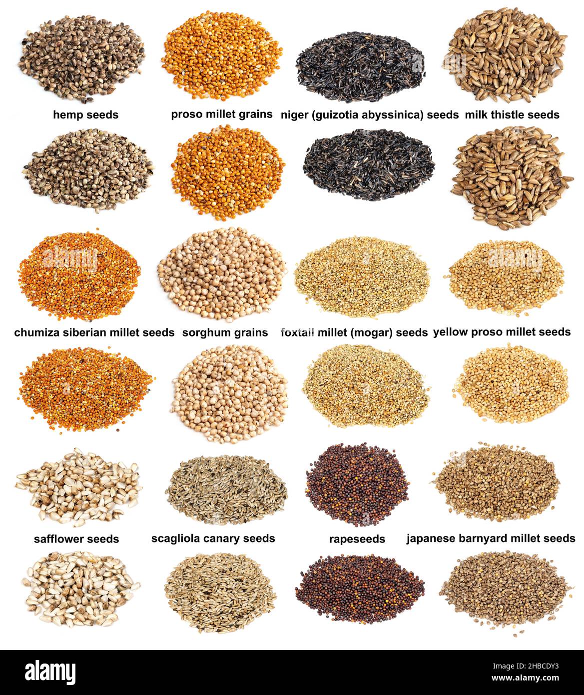 set of piles of variuos unhulled seeds with names cutout on white background Stock Photo