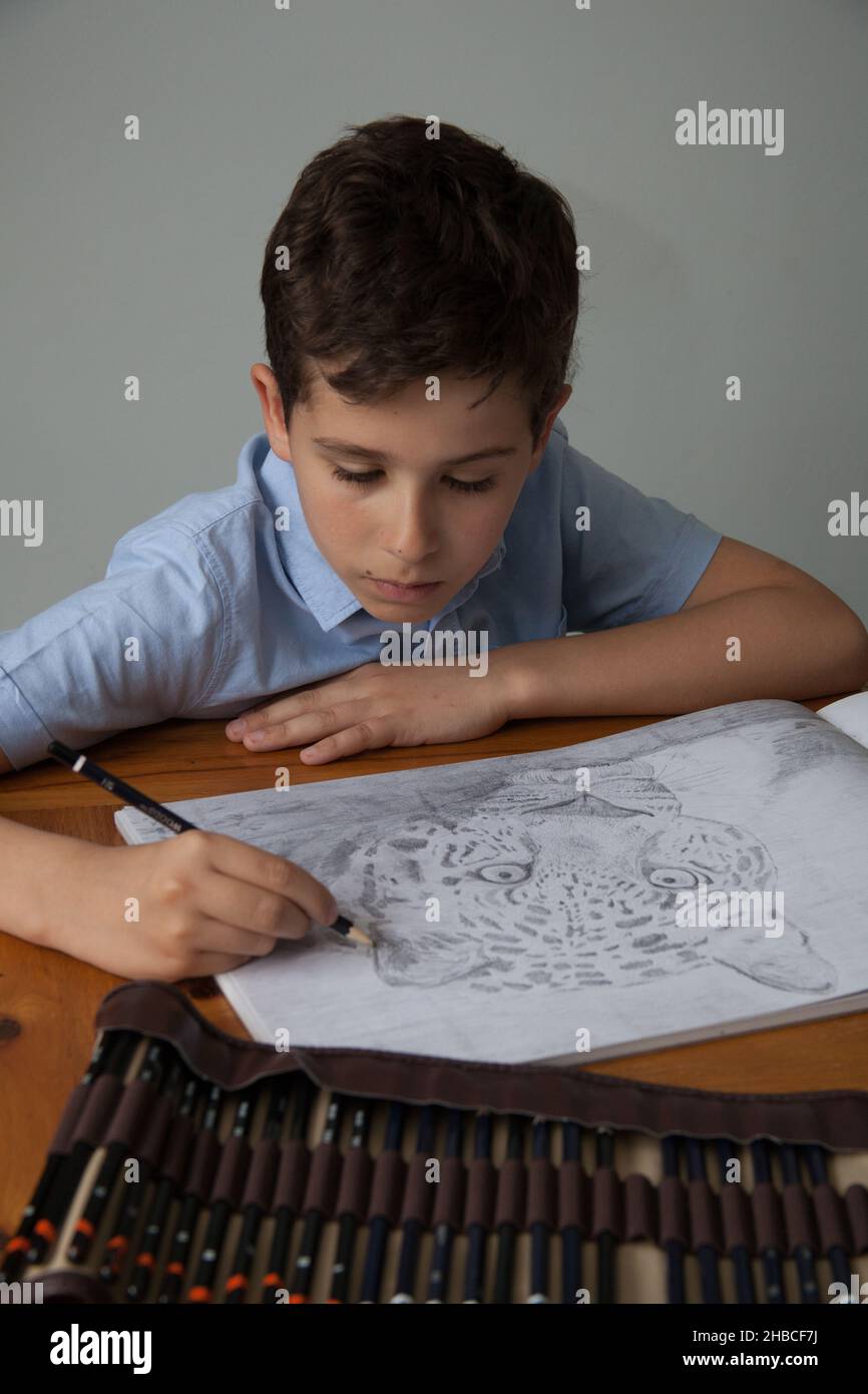 An eleven year boy drawing a picture of a leopard with a pencil Stock Photo
