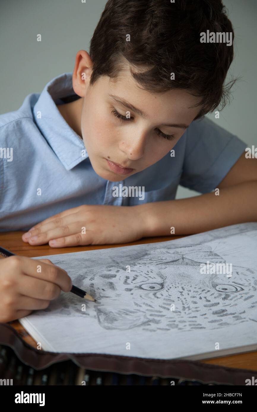 An eleven year old drawing a picture of a leopard Stock Photo
