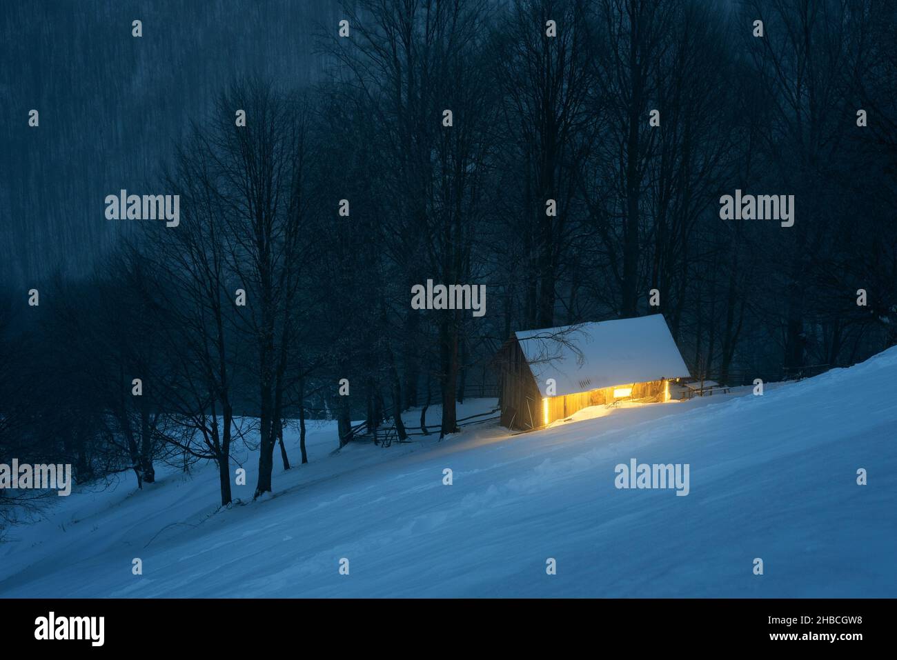 Night landscape with a house in a winter snowy forest Stock Photo