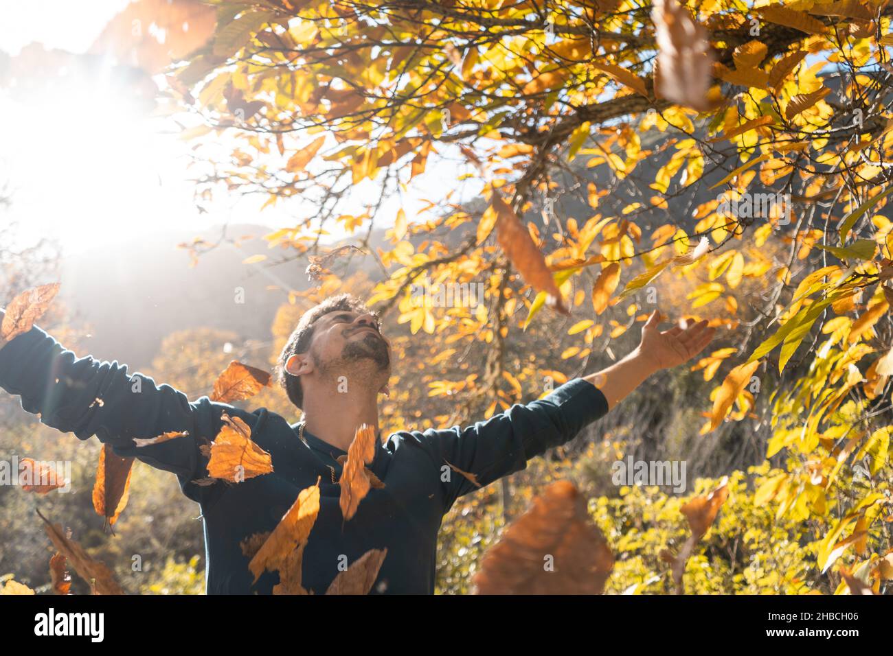 close up. young man plays with yellow leaves falling down Stock Photo
