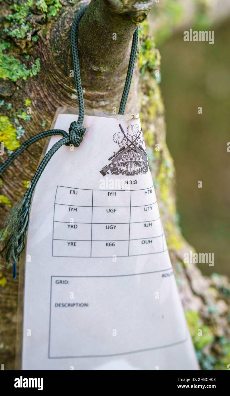 royal welsh regiment, no. 8 plastic training document attached by a lace to a tree branch Stock Photo