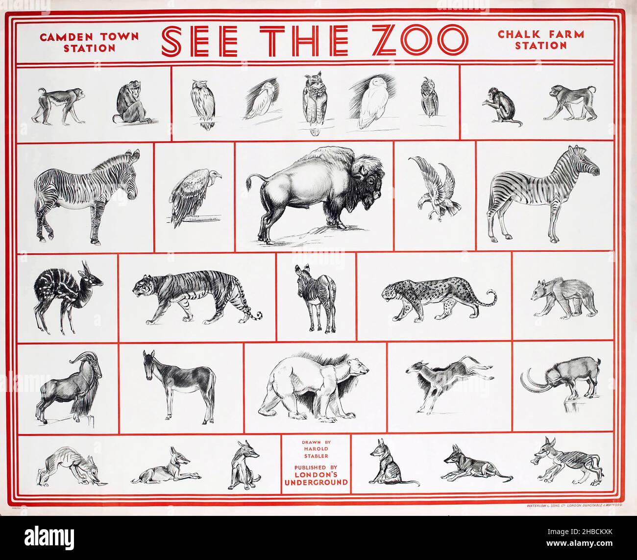 Vintage zoo animals hi-res stock photography and images - Alamy