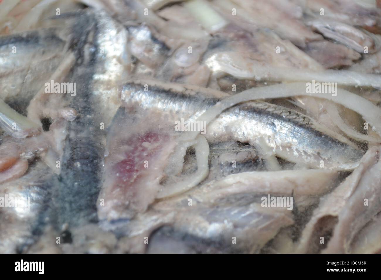 Closeup View of Freshly Marinated Anchovy Fillets in Vinegar and Salt