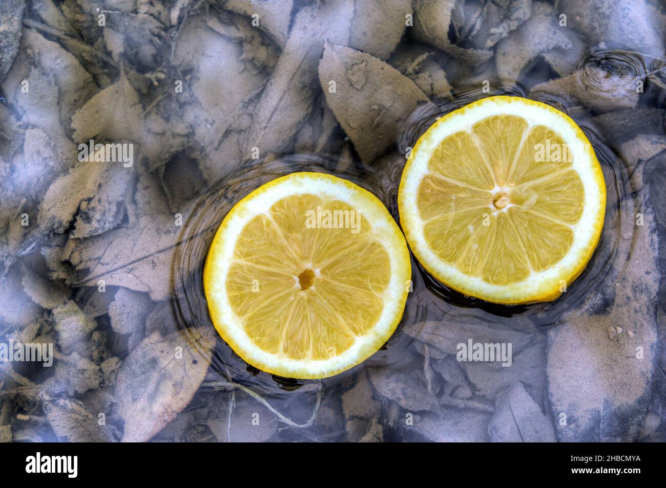 Time for lemon. Lemons contain a lot of vitamin C and are therefore a great support for our immune system. Stock Photo