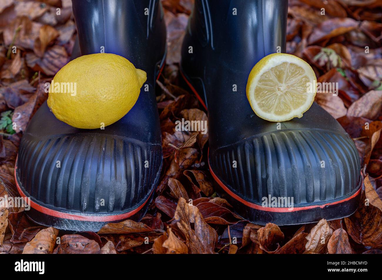 Lemon, rubber boots, withered leaves, autumn is lemon season Stock