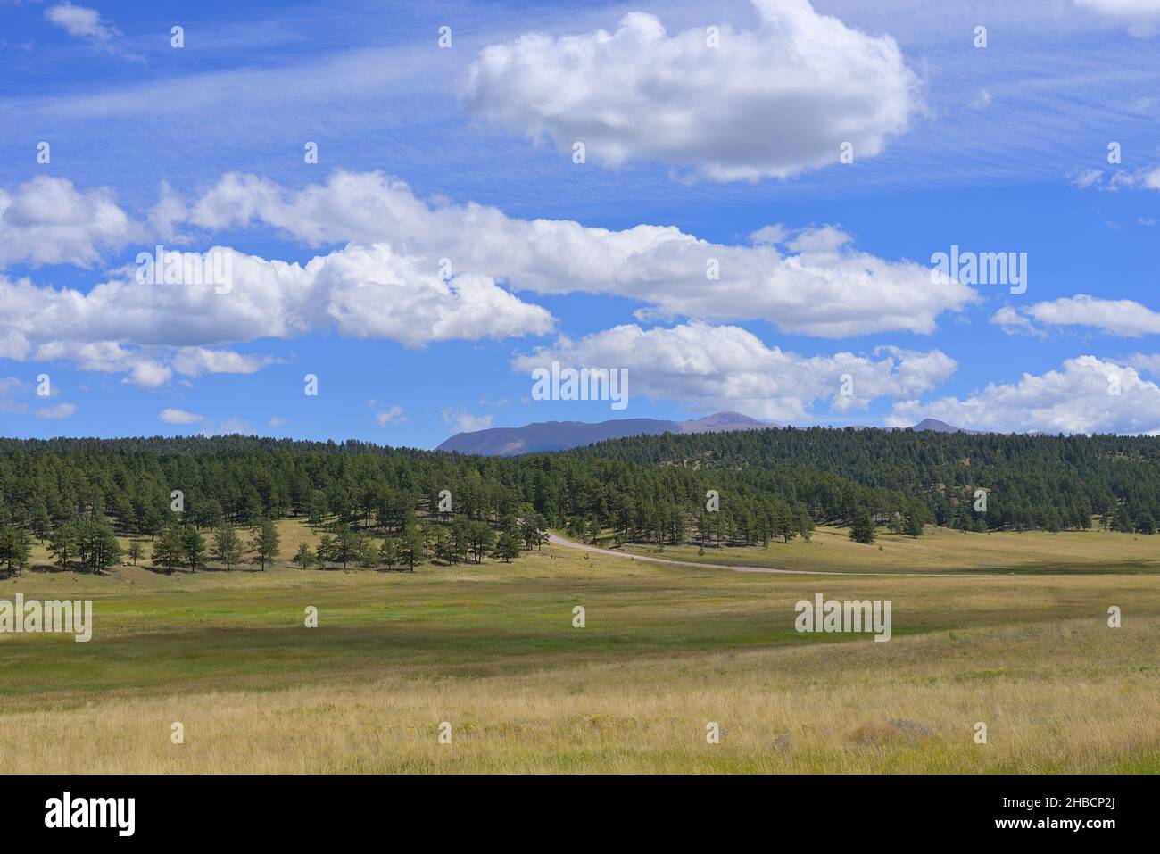 Scenic landscapes around the Florissant Fossil Beds National Monument, Florissant CO Stock Photo