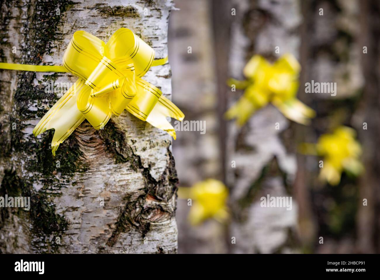Tie a yellow ribbon round a tree. Stock Photo