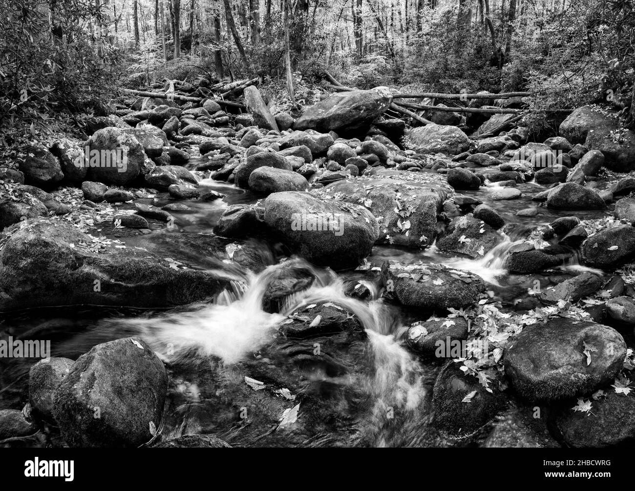 USA, Tennessee, Gatlinburg, Great Smoky Mountains National Park