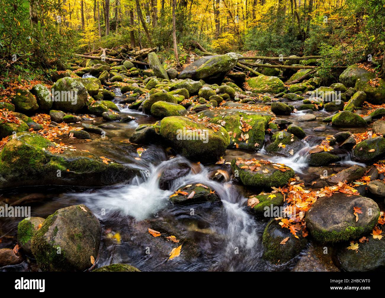USA, Tennessee, Gatlinburg, Great Smoky Mountains National Park, Flowing creek along the Roaring Fork Motor Nature Trail Stock Photo