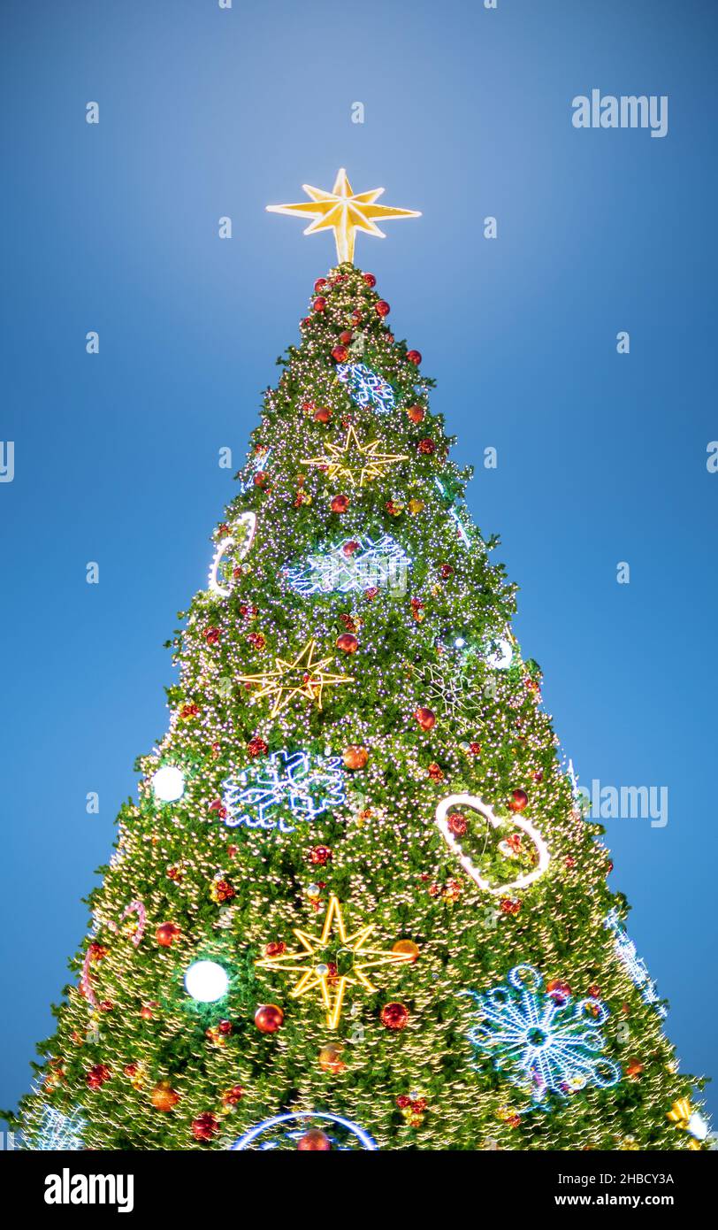 Christmas 2022 In Thailand Bangkok, Thailand - Dec 8, 2021 : The Biggest New Year Event In 2022, The  Ball Star And Lightly Decorated On The Big Christmas Tree For Celebrate 2022  Stock Photo - Alamy