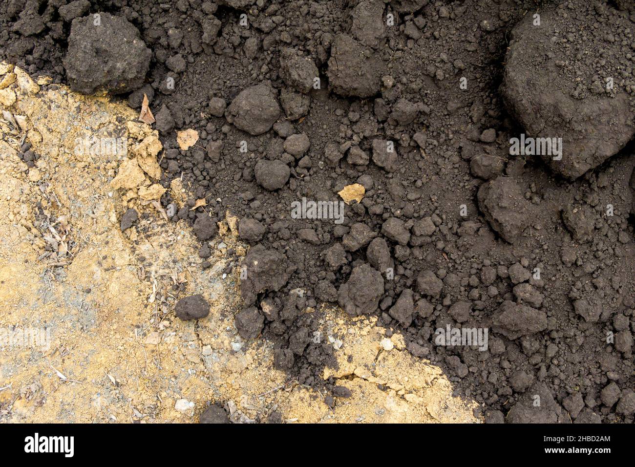 black soil prepared for landscaping and poured onto a clay surface