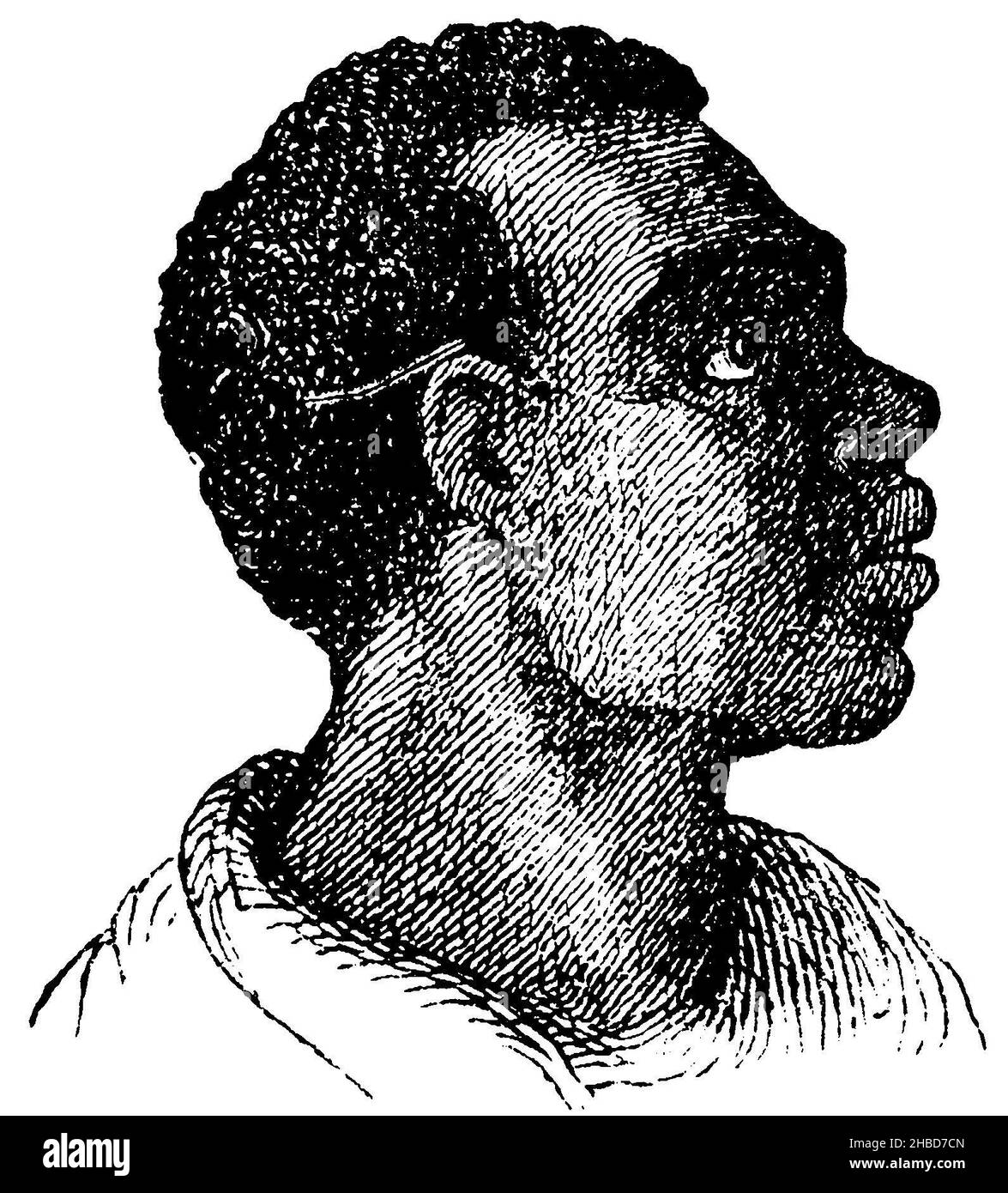 Human: African, ,  (biology book, 1898), Mensch: Afrikaner, Homme : Africain Stock Photo