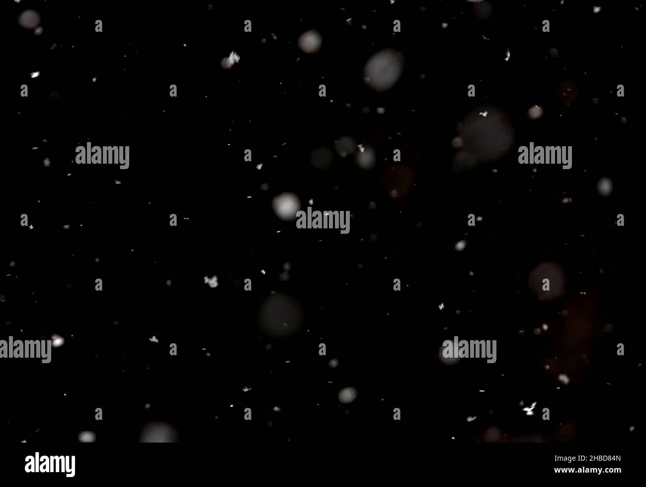 snow bokeh texture on black background, snowflakes falling in the sky overlay Stock Photo