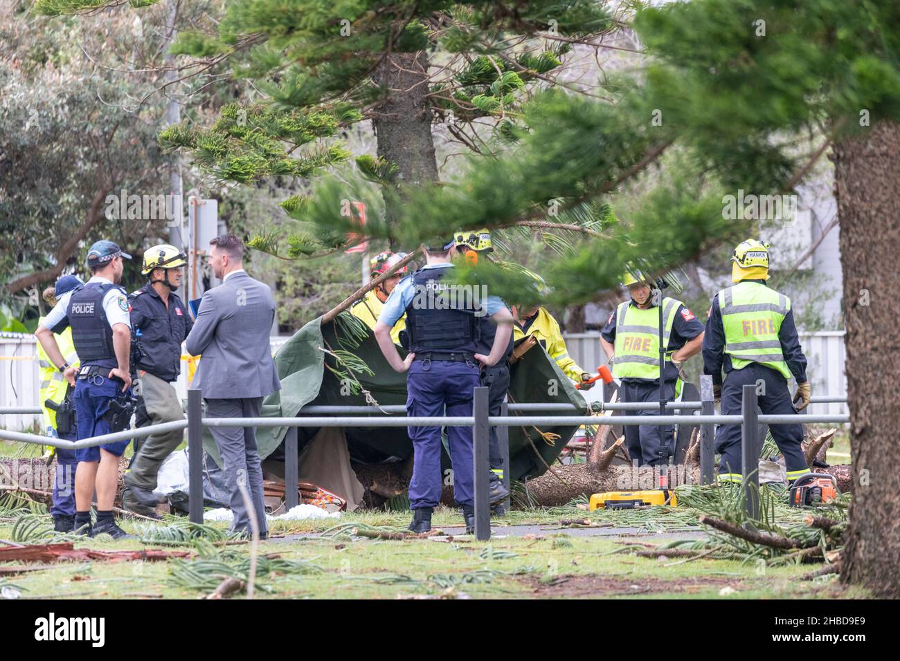Narrabeen, Sydney, Australia. 19th Dec, 2021. Narrabeen, Sydney, Australia. 19th Dec 2021. Freak storm brought down trees and power lines on Sydney's northern beaches, one lady has died and others are critical, emergency services attended and plain clothes personnel at the scene of the fallen tree that killed a lady near Narrabeen Surf Club. Credit: martin berry/Alamy Live News Stock Photo