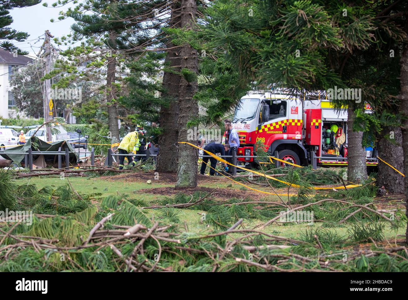 Narrabeen, Sydney, Australia. 19th Dec, 2021. Freak storm brought down trees and power lines on Sydney's northern beaches, one lady has died and others are critical, emergency services attended and plain clothes personnel at the scene of the fallen tree that killed a lady near Narrabeen Surf Club. Credit: martin berry/Alamy Live News Stock Photo